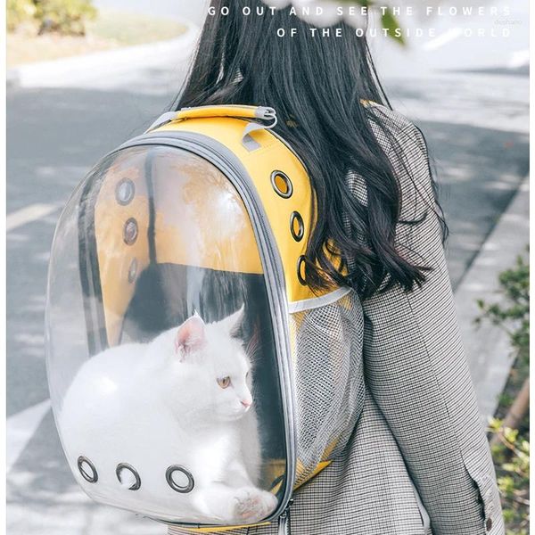 Porteros de gato Bolsa portátil portátil transpirable Bolsa de viaje al aire libre Puppy Puppy Dog Transparent Space Safe