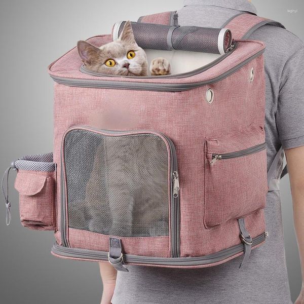 Porte-chats roues respirantes sac de transport espace épaule maille chats sortants sac à dos chiot transportant Mochilas fournitures pour animaux de compagnie