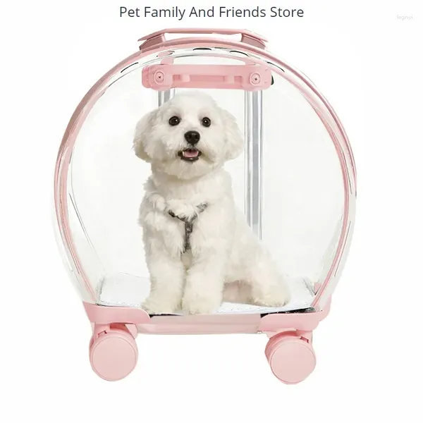 Porte-chat boîte à bulles sac chariot sortant Portable Transparent chien de compagnie bagages respirant Module d'espace étui de voyage