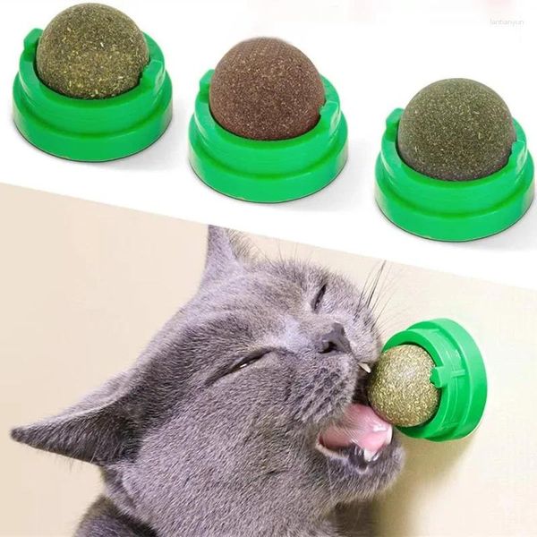 Transportadores para gatos Caip, rascadores de juguete con bolas adhesivas para pared, golosinas naturales saludables, elimina bolas para promover la digestión, aperitivos de hierba