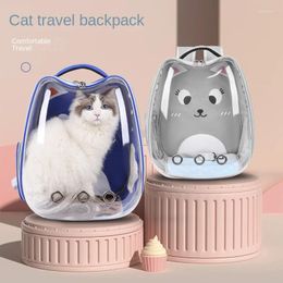 Catcheriers portador de portería mochila Plecak dla kota transportador PSA Dog para Gatos Pet Stroller Pets