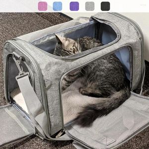 Bolso de transporte de gatos bolsas para mascotas al aire libre mochila transpirable transparente transparente para accesorios de gatos pequeños
