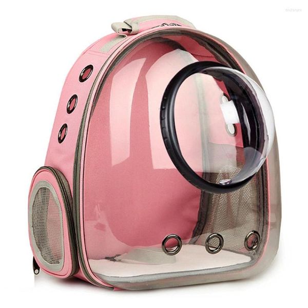 Sac de Transport pour chats, sortie respirante, Cage spatiale de voyage, Vision plus large, Transport pour petits chiens, fournitures pour animaux de compagnie