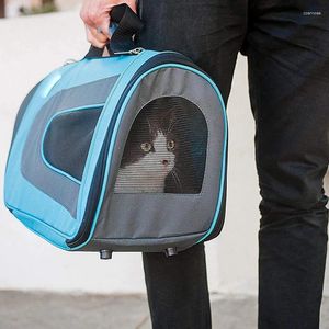 Porteurs de chats sac de porteur de porteur côté doux sac à dos pour chiens de compagnie sacs de voyage aérienne approuvée transprouvé petit chiens chats sortants extérieurs