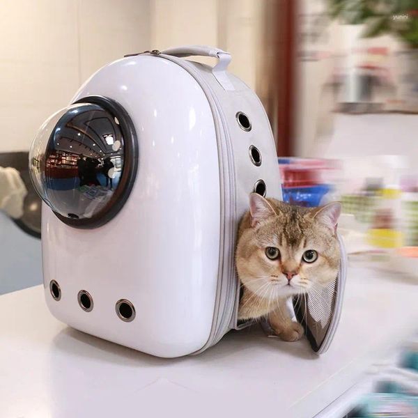 Portadores de gatos Mochila de dibujos animados Portador Gran espacio de burbujas Transporte transpirable Pet Bolsa de viaje transparente