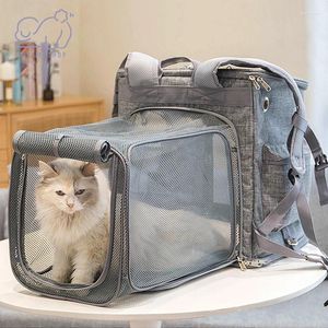 Sac à dos de transport pour chats et chiens, fourre-tout respirant, extensible et pliable pour animaux de compagnie, avec bretelles confortables, accessoires