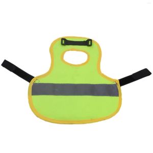 Cat Carriers Chicken Vest voor kippen huisdier reflecterend met verstelbare riem gevogelte kip zadel comfortabel schort veer