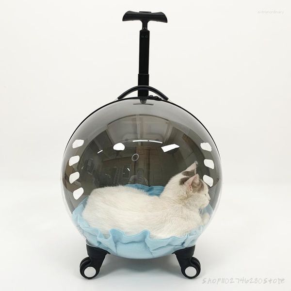 Portadores de gatos Clear Stroller Cats Mochila al aire libre Transportador pequeño Transportador de Gatos Accesorios