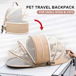 Transports de chats Crates Houses 2 en 1 Cat Carrier Small Cat Sac à dos Sac de transport de voyage extensible PET PORTABLE VÉHICULE DE TRANSPORT PUPPY CAT Tent 240426