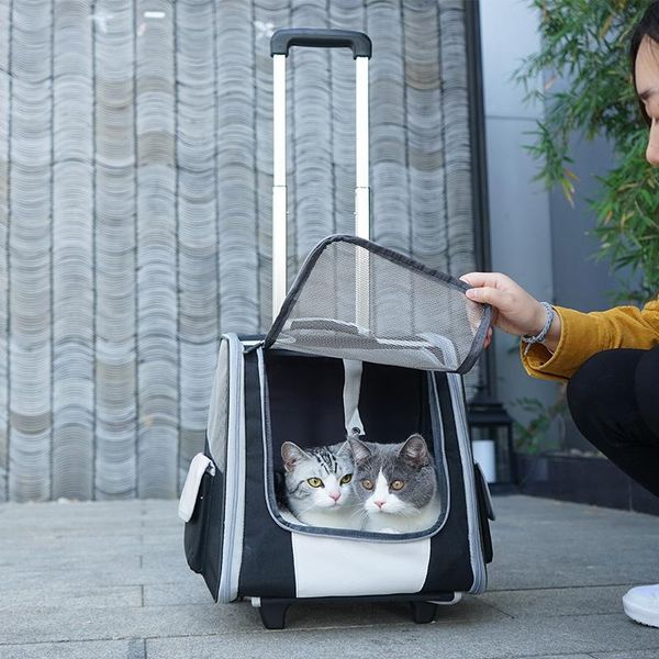 Chat transporteurs caisses maisons sac tirer tige deux épaule Out Portable sac à dos respirant Pet levier boîte tente chenils grand