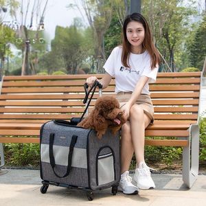 Katdragers kratten huizen ademende grote capaciteit huisdier kinderwagens reizen draagbare hond transportzak handtassen puppy drager trolley backpa