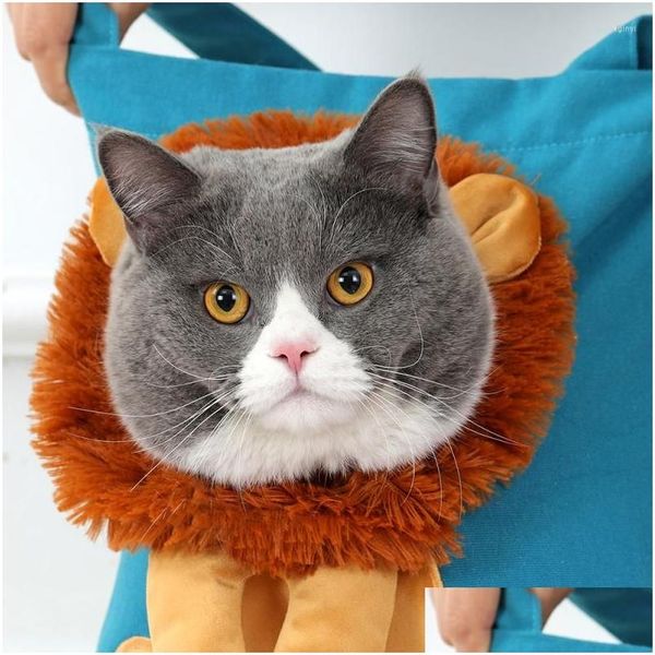 Caisses De Transport Pour Chats Maisons Sac Pour Animaux De Compagnie En Forme De Lion Drôle Tête Respirante Et Douce Sac À Main De Voyage Pour Animaux De Compagnie Avec Fermetures À Glissière De Sécurité Drop De Otoch