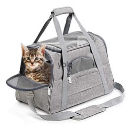 Cat Carriers Crates Houses Nieuwe Pet Bag Style Cat Dog Outing Crossbody Breathable CAR H240407