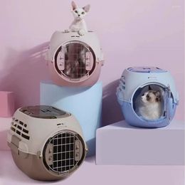 Porte-chat mignon, étui de voyage de styliste, en plastique respirant, coque rigide d'extérieur, valise d'intérieur Kedi pour animaux de compagnie