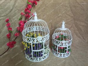 Porteurs de chats décoratifs oiseaux de mariage oiseau cage accessoires POGRAMENT