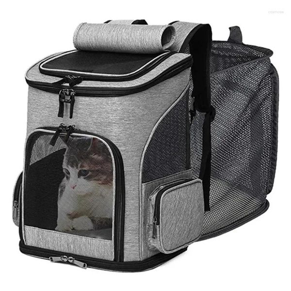 Sac de transport pour chat et chien, sac à dos à Double épaule pour animaux de compagnie, cadre robuste, respirant, pliable, chiot, sacs extensibles de grande capacité