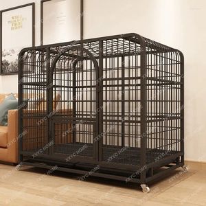 Cage de transport pour chat, cage pour chien, moyenne et grande, intérieure avec toilettes, Border Collie, petite Cage pour animaux de compagnie, Labrador Golden Retriever