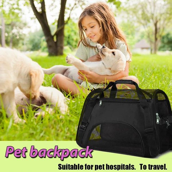 Sacs de transport pliables pour chiens et chats, doux, portables, respirants, en maille de caoutchouc, bagages durables et légers, sac à dos de sortie pour animaux de compagnie, pour voyage
