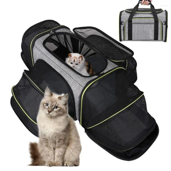 Transporteurs de chats sac durable