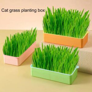 Supports pour chats, jardinière d'herbe Durable, serre épaisse, boîte de culture, Pot de plantes, couleur contrastée, accessoires de plantation en plastique