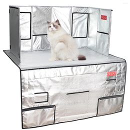 Cat Carriers Efcat Tentoonstelling Cage Pet Show Beauty Table Achtergrond Backbord Rok