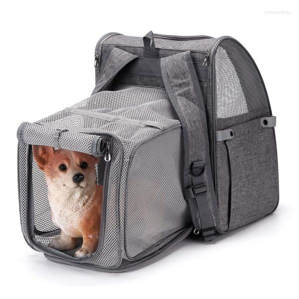 Transportadores para gatos, bolsa extensible para mascotas para perros y gatos, mochila de hombro, bolso plegable, suministros para exteriores, moda