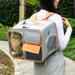 Porte-chats mode sac à dos fenêtre léger espace supplémentaire transporteur respirant Portable extérieur Mochila Gato fournitures pour animaux de compagnie