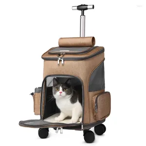 Porte-chat pliable, sac à dos, poussette, valise pour animaux de compagnie, roues universelles à 360 degrés, maille latérale, chariot pour chien, outil de Transport de voyage