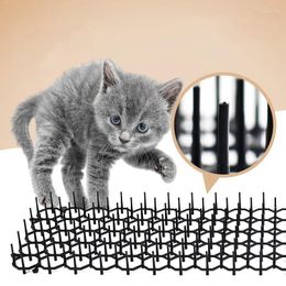 Porteurs de chats jardin protecteur en plastique épine en plastique empêcher le tapis sans blessure pour les animaux de compagnie durable protéger le filet de protection anti-animaux