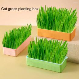 Cat dragers gras plantenbak met afneembare bodem dubbele laag contrast kleur niet-slip base gemakkelijk te reinigen plastic huisdier spruitschotel