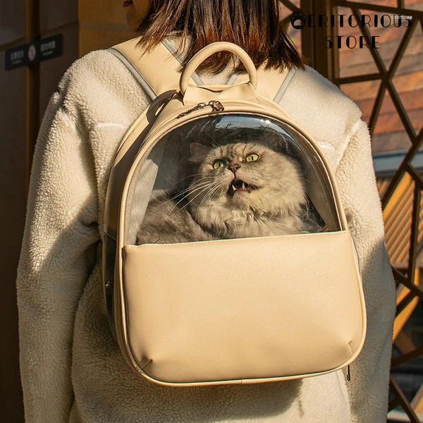 Porteurs de chats à haut niveau d'apparence visible sac transparent sur sac à dos épaule pour animaux de compagnie pour les petits chats et les chiens