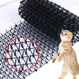 Porteurs de chats domestiques anti-chat épinet mat petit pad cador