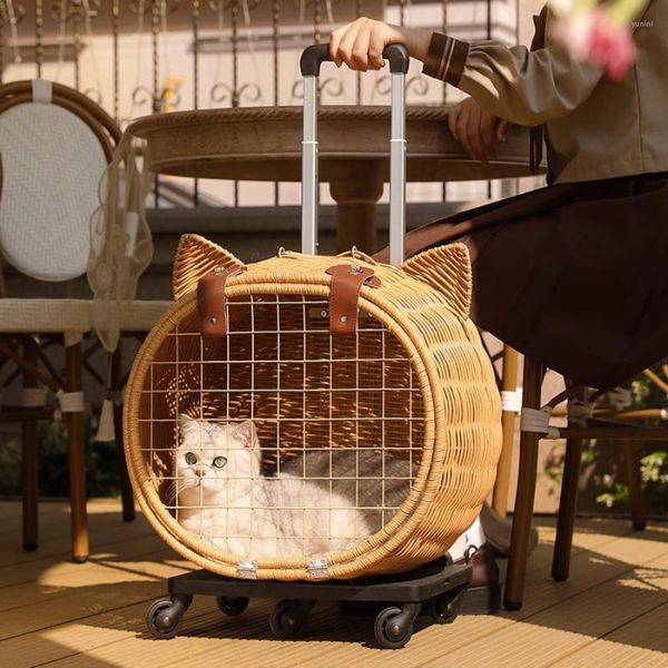 Portadores de gatos Kawaii Wheels Cats Mochila Femenina única al aire libre Bolso de perro lindo dibujos animados de dibujos animados portátiles Mochila para gato accesorios para mascotas