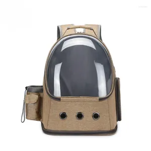 Porteurs de chats de grande capacité Ventilation Hood Pet Carrier Sac à dos Sac à dos Espace de voyage à la mode et transparent