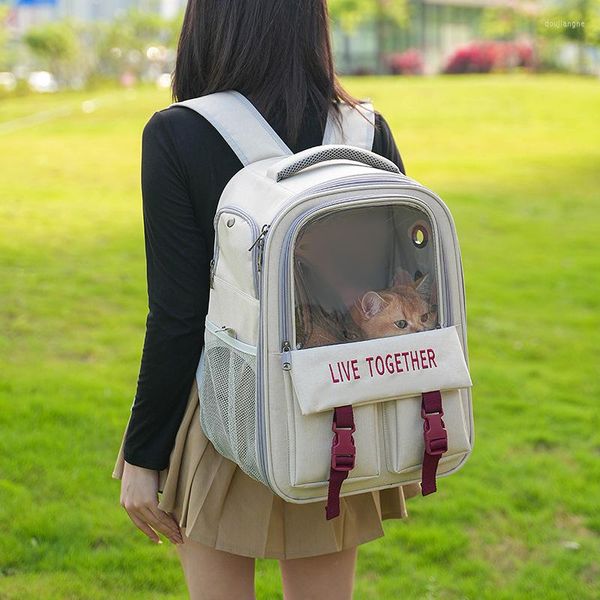 Grand sac à dos de transport pour animaux de compagnie, sac à dos en maille respirante, Portable pour petits et moyens chats, chiens, pliable, voyage, randonnée