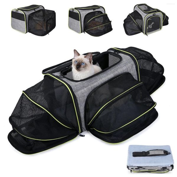 Sac à dos de luxe extensible pour animaux de compagnie, sac à bandoulière approuvé par la compagnie aérienne, en maille respirante pour chien