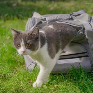 Fabricants de porteurs de chats de sac portable pour animaux