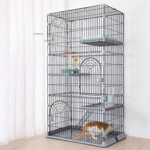 Transporteurs de chats minimalistes cages de salle de location moderne