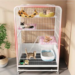Transporteurs de chats modernes cages en fer forgé ménage extra grande grande maison à double couche villa de lit pour animaux de compagnie spécial produit