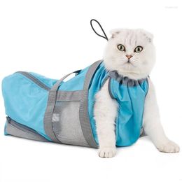 Cat dragers multifunctionele tas spijkers snijden en gezichtsreiniging speciale injectiezorgkit voor huisdieruitjes handtas