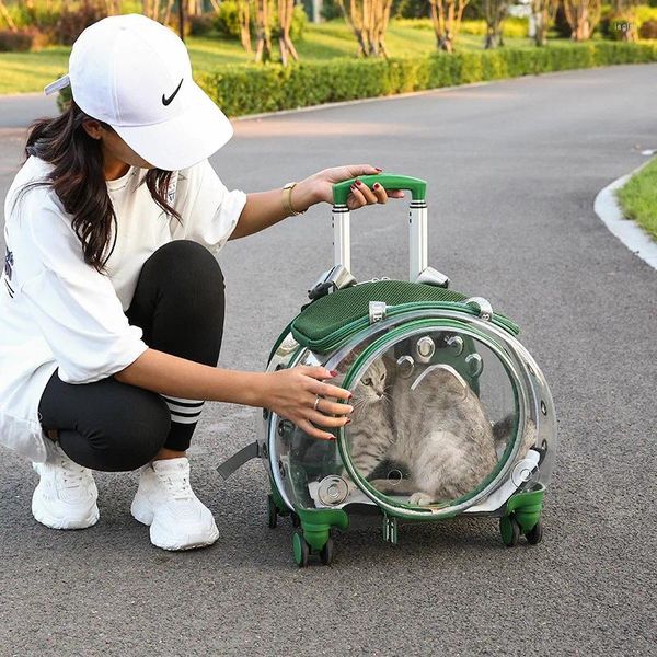 Sac à dos de transport pour chats, bagages d'extérieur pour animaux de compagnie, Portable, respirant pour petits ou chiens