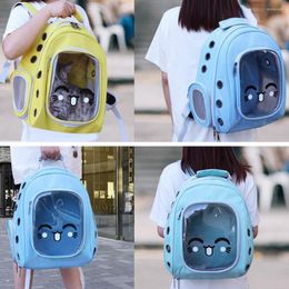 Cat Carriers PC Fashion Pet Draag wandelrugzak Universal Bag handig voor Kitty