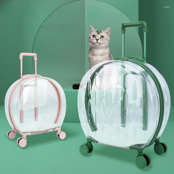 Cat Carriers PC Pet Trolley Box Transparent Aviation Bag para salir de la burbuja portátil de perros adecuada y