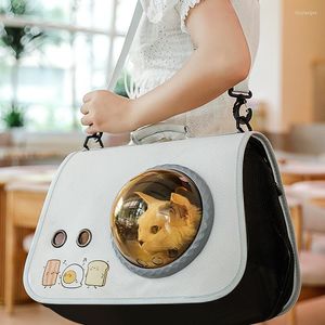 Cat Carriers Pet Bag Upgrade Ademende transparante ruimtevaartafdekking Air Box Handtas rugzak