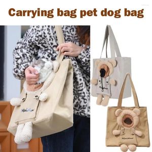 Sac à main en toile pour animaux de compagnie, porte-chat, Portable, chien mignon, sacs de transport amusants, doux, voyage pour animaux de compagnie, avec boucle de sécurité