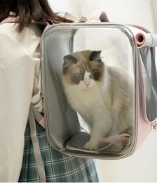 Sac à dos de transport pour animaux de compagnie, Portable pour petits chiens et chats, Cage spatiale respirante, sac à bandoulière de voyage en plein air, fournitures
