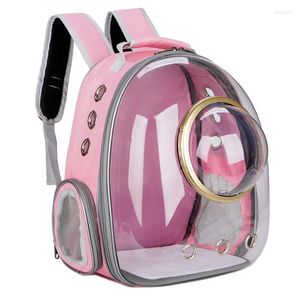 Porteurs de chats sac pour animaux de compagnie sortant sac à dos respirant grand espace transparent transparent portable