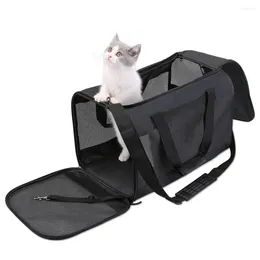 Sac de transport pour chat, respirant, pliable, Portable, permettant d'économiser du travail, grand espace, outil de suspension, sac à dos diagonal pratique pour chaton