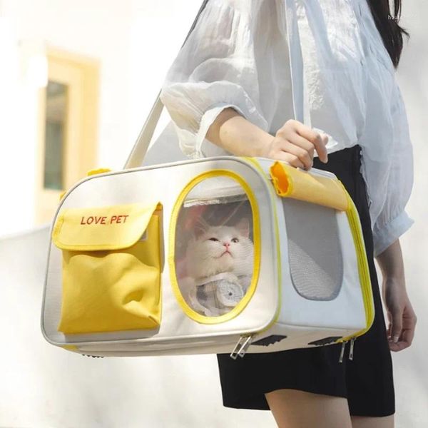 Sac de transport pour chats et animaux domestiques, sac Portable pour chiens, peut être personnalisé et voyage, bagages Anti-stress