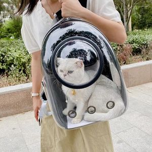 Porteurs de chats animaux de compagnie sacs sacs d'espace sac à dos respirant portable transparent sac à dos chiot